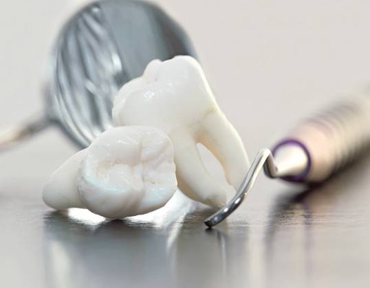Extracted teeth sitting next to dental tools