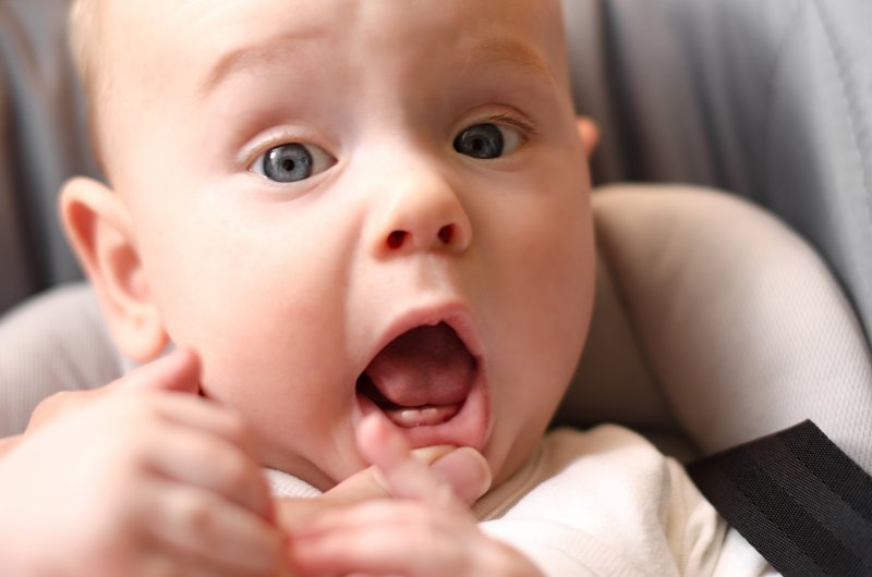 a baby with two small tooth buds protruding from the bottom arch