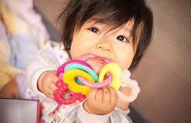 teething baby chewing on a toy